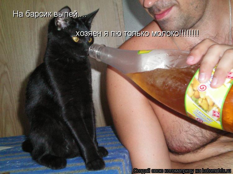 На барсик выпей.... хозяен я пю только молоко!!!!!!!!... Котоматрица: На барсик выпей.... хозяен я пю только молоко!!!!!!!!