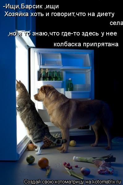 -Ищи,Барсик ,ищи Хозяйка хоть и говорит,что на диету села ,но я то знаю,что где-то здесь у нее колб... Котоматрица: -Ищи,Барсик ,ищи Хозяйка хоть и говорит,что на диету села ,но я то знаю,что где-то здесь у нее колбаска припрятана