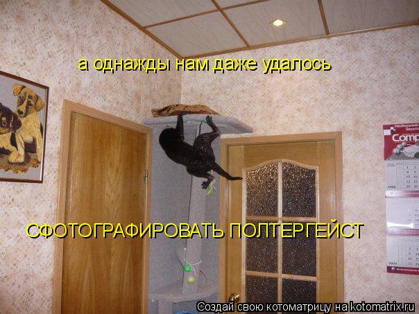 а однажды нам даже удалось СФОТОГРАФИРОВАТЬ ПОЛТЕРГЕЙСТ... Котоматрица: а однажды нам даже удалось СФОТОГРАФИРОВАТЬ ПОЛТЕРГЕЙСТ