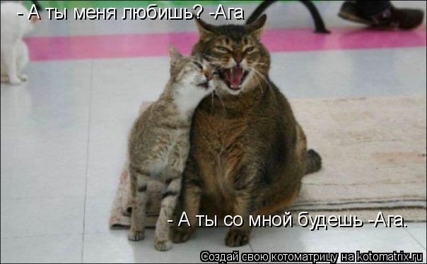 - А ты меня любишь? -Ага - А ты со мной будешь -Ага.... Котоматрица: - А ты меня любишь? -Ага - А ты со мной будешь -Ага.