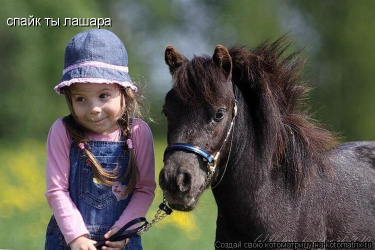 Котоматрица: спайк ты лашара