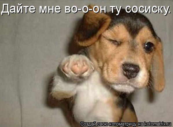 Котоматрица: Дайте мне во-о-он ту сосиску.