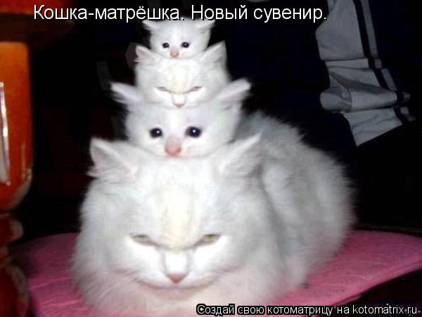 Котоматрица: Кошка-матрёшка. Новый сувенир.