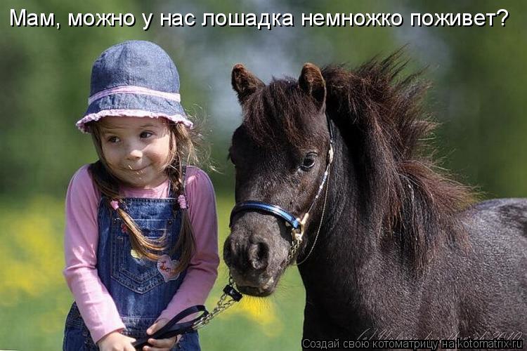 Мам, можно у нас лошадка немножко поживет?... Котоматрица: Мам, можно у нас лошадка немножко поживет?