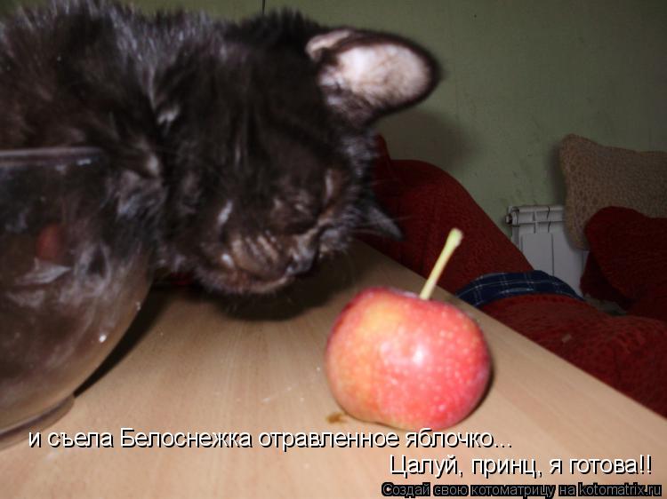 и съела Белоснежка отравленное яблочко... Цалуй, принц, я готова!!... Котоматрица: и съела Белоснежка отравленное яблочко... Цалуй, принц, я готова!!