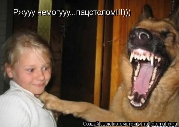Ржууу немогууу...пацстолом!!!)))... Котоматрица: Ржууу немогууу...пацстолом!!!)))