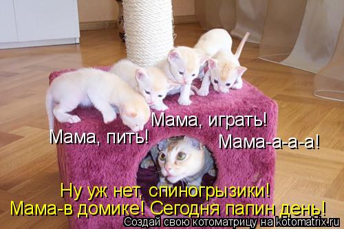 Мама, пить! Мама, играть! Мама-а-а-а! Ну уж нет, спиногрызики! Мама-в домике! Сегодня папин день!... Котоматрица: Мама, пить! Мама, играть! Мама-а-а-а! Ну уж нет, спиногрызики! Мама-в домике! Сегодня папин день!
