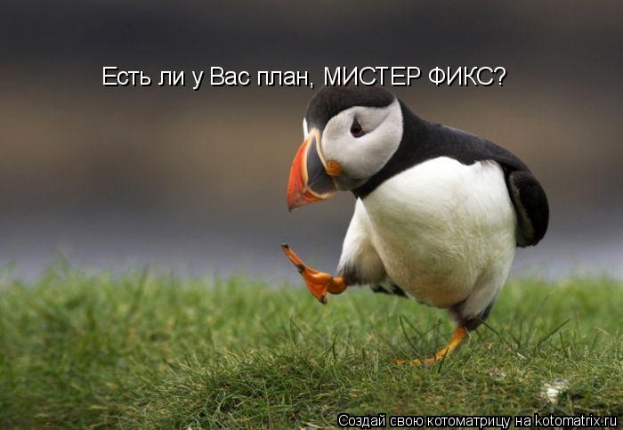 Есть ли у Вас план, MИСТЕР ФИКС?... Котоматрица: Есть ли у Вас план, MИСТЕР ФИКС?