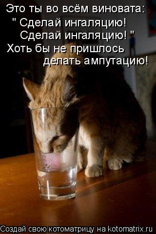 Это ты во всём виновата: " Сделай ингаляцию! Сделай ингаляцию! " Хоть бы не пришлось делать ампутаци... Котоматрица: Это ты во всём виновата: " Сделай ингаляцию! Сделай ингаляцию! " Хоть бы не пришлось делать ампутацию!