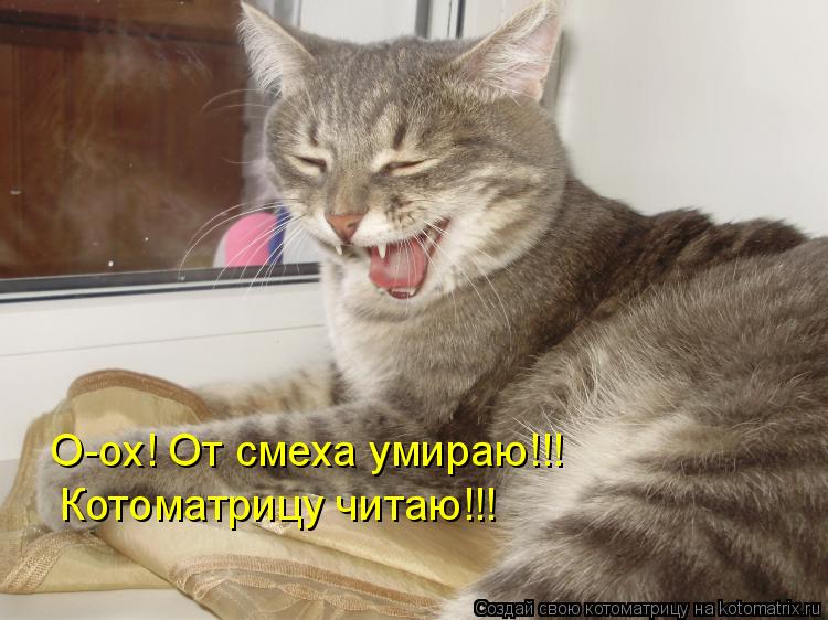 О-ох! От смеха умираю!!! Котоматрицу читаю!!!... Котоматрица: О-ох! От смеха умираю!!! Котоматрицу читаю!!!