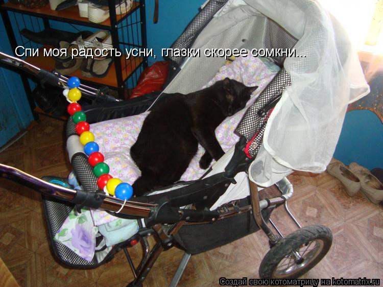 Спи моя радость усни, глазки скорее сомкни...... Котоматрица: Спи моя радость усни, глазки скорее сомкни...