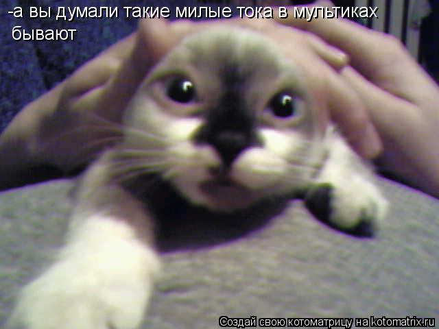-а вы думали такие милые тока в мультиках бывают... Котоматрица: -а вы думали такие милые тока в мультиках бывают