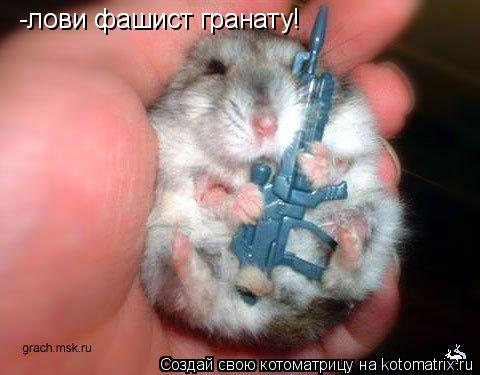 -лови фашист гранату!... Котоматрица: -лови фашист гранату!