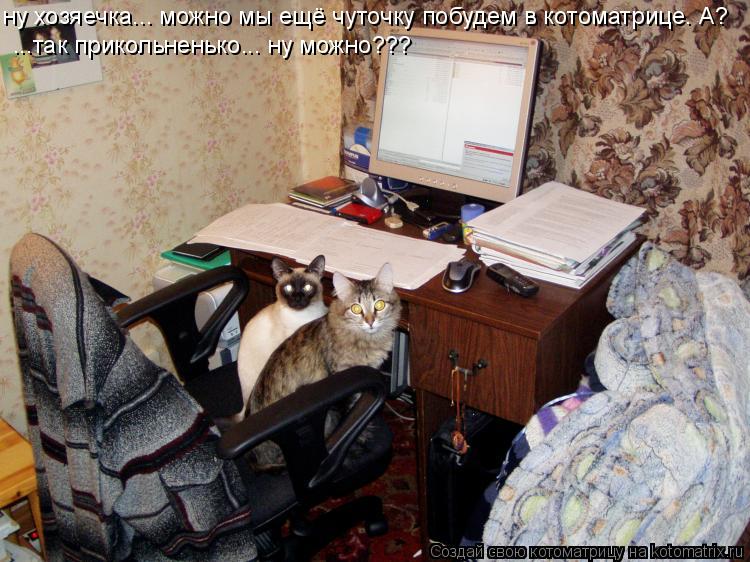ну хозяечка... можно мы ещё чуточку побудем в котоматрице. А? ...так прикольненько... ну можно???... Котоматрица: ну хозяечка... можно мы ещё чуточку побудем в котоматрице. А? ...так прикольненько... ну можно???