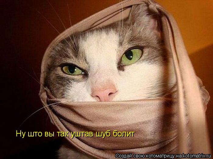 Ну што вы так уштав шуб болит... Котоматрица: Ну што вы так уштав шуб болит