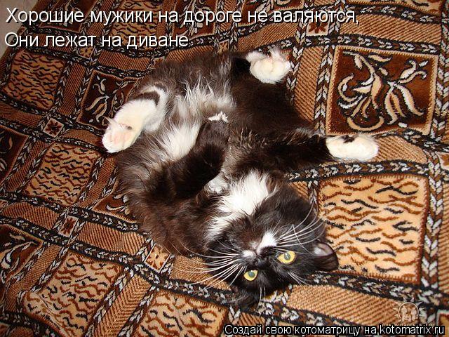 Хорошие мужики на дороге не валяются, Они лежат на диване... Котоматрица: Хорошие мужики на дороге не валяются, Они лежат на диване