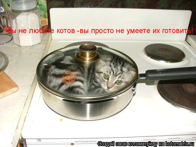 вы не любите котов -вы просто не умеете их готовить!... Котоматрица: вы не любите котов -вы просто не умеете их готовить!