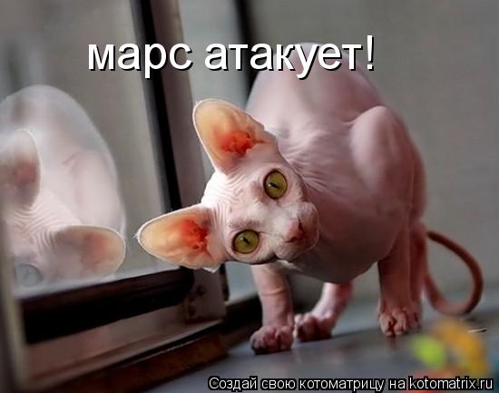 марс атакует!... Котоматрица: марс атакует!