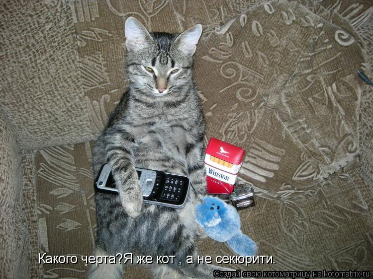 Какого черта?Я же кот , а не секюрити.... Котоматрица: Какого черта?Я же кот , а не секюрити.