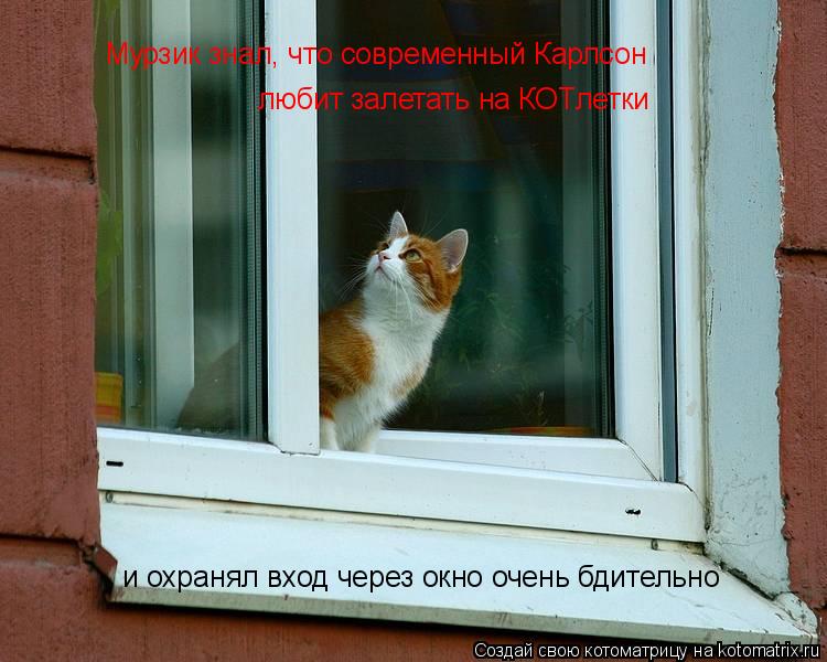 Мурзик знал, что современный Карлсон любит залетать на КОТлетки и охранял вход через окно очень бдите... Котоматрица: Мурзик знал, что современный Карлсон любит залетать на КОТлетки и охранял вход через окно очень бдительно
