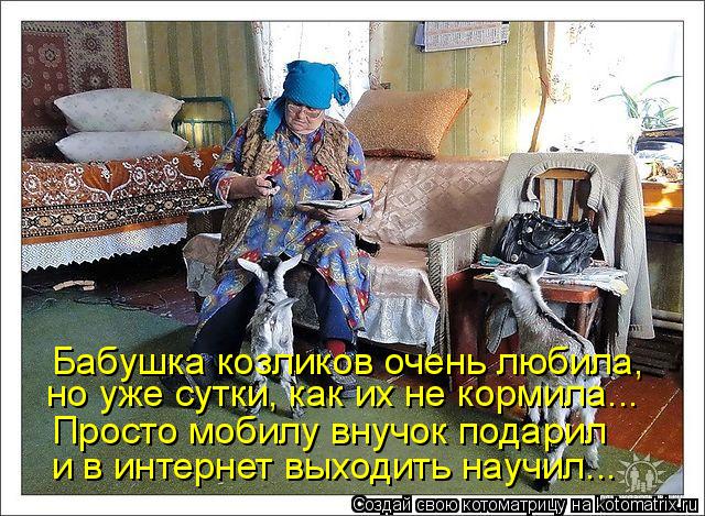 Котоматрица: Бабушка козликов очень любила, но уже сутки, как их не кормила... Просто мобилу внучок подарил и в интернет выходить научил...