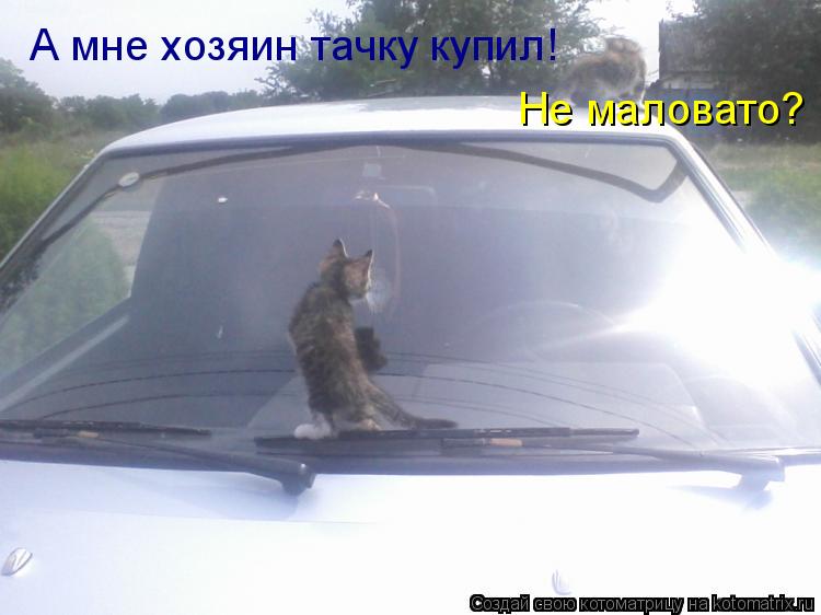 А мне хозяин тачку купил! Не маловато?... Котоматрица: А мне хозяин тачку купил! Не маловато?