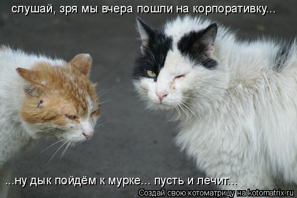 слушай, зря мы вчера пошли на корпоративку... ...ну дык пойдём к мурке... пусть и лечит...... Котоматрица: слушай, зря мы вчера пошли на корпоративку... ...ну дык пойдём к мурке... пусть и лечит...