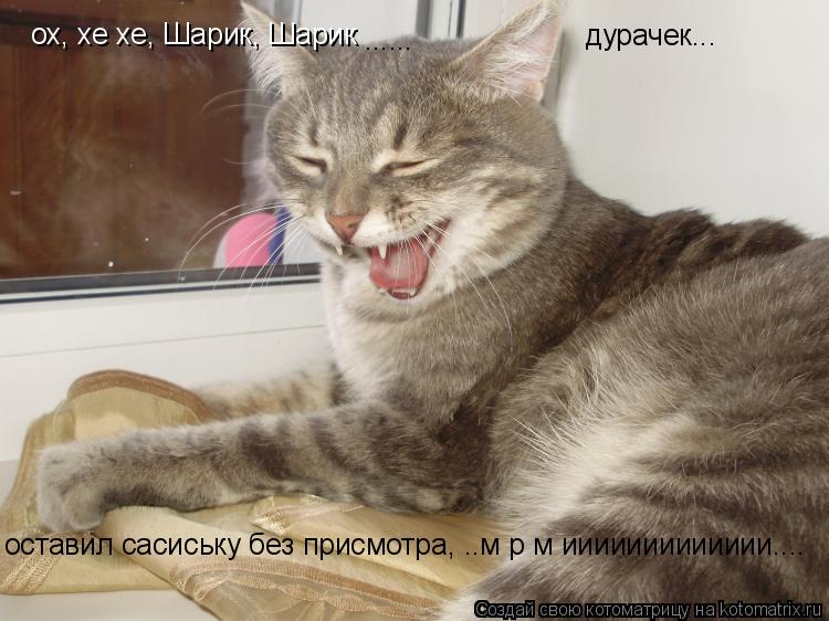 ох, хе хе, Шарик, Шарик дурачек... ...... оставил сасиську без присмотра, ..м р м иииииииииииии....... Котоматрица: ох, хе хе, Шарик, Шарик дурачек... ...... оставил сасиську без присмотра, ..м р м иииииииииииии....