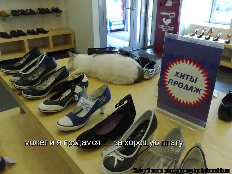 может и я продамся......за хорошую плату... Котоматрица: может и я продамся......за хорошую плату