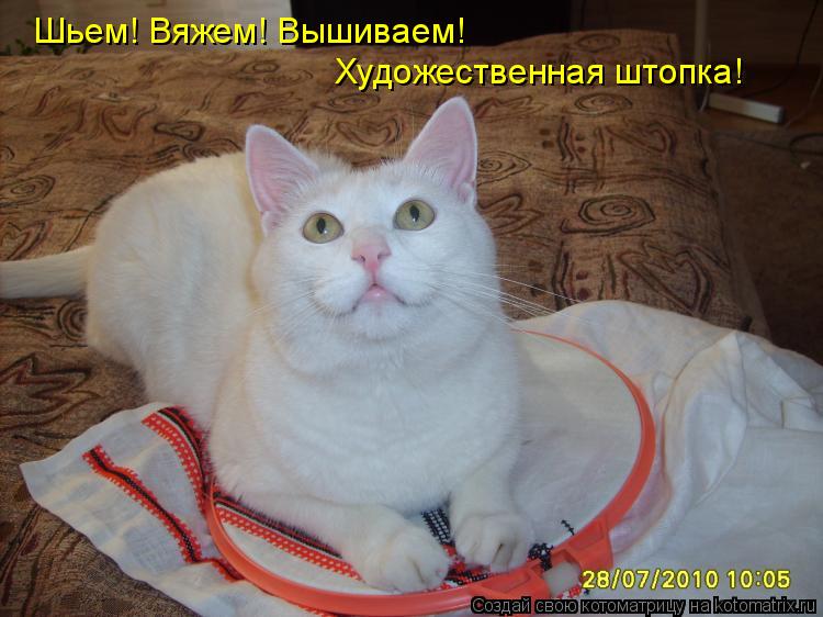 Шьем! Вяжем! Вышиваем! Художественная штопка!... Котоматрица: Шьем! Вяжем! Вышиваем! Художественная штопка!