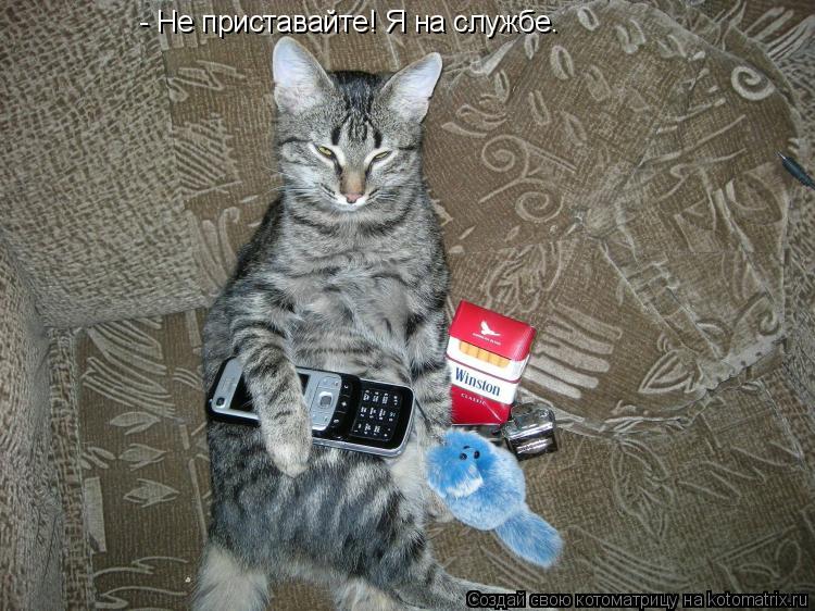 - Не приставайте! Я на службе.... Котоматрица: - Не приставайте! Я на службе.