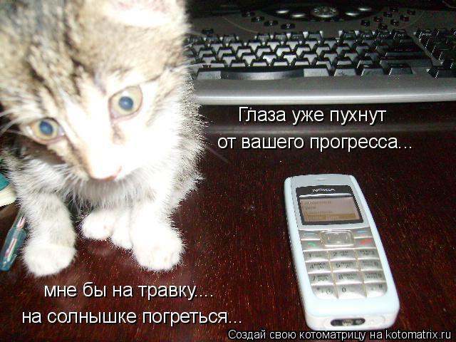 Глаза уже пухнут от вашего прогресса... мне бы на травку.... на солнышке погреться...... Котоматрица: Глаза уже пухнут от вашего прогресса... мне бы на травку.... на солнышке погреться...