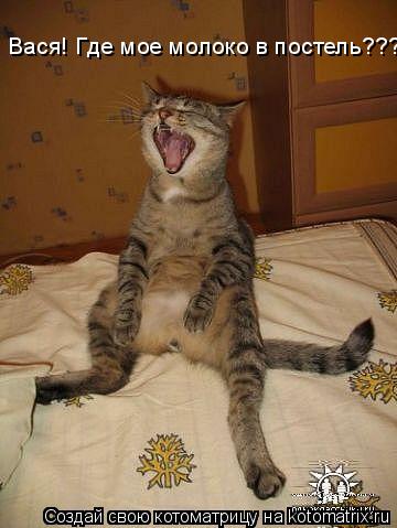 Вася! Где мое молоко в постель???... Котоматрица: Вася! Где мое молоко в постель???