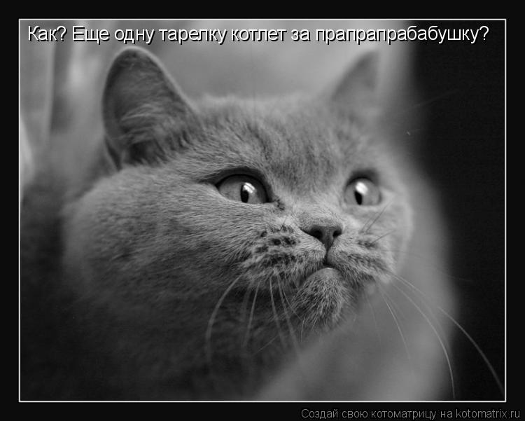 Как? Еще одну тарелку котлет за прапрапрабабушку?... Котоматрица: Как? Еще одну тарелку котлет за прапрапрабабушку?