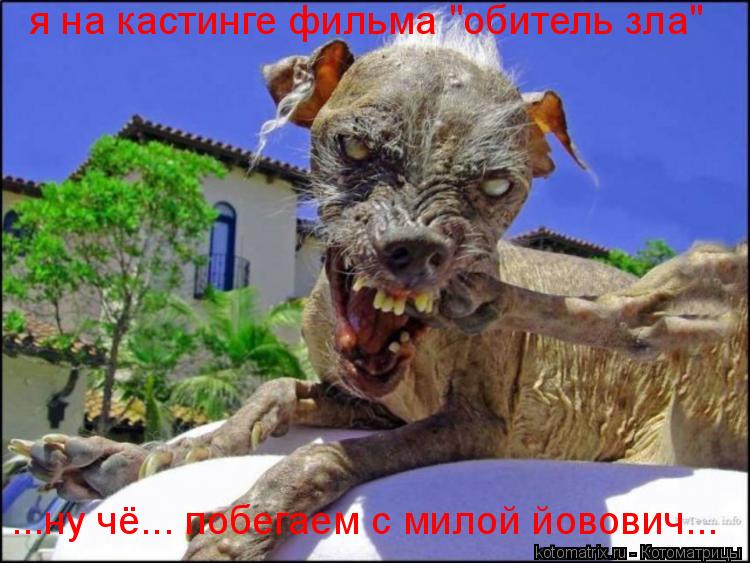 я на кастинге фильма "обитель зла" ...ну чё... побегаем с милой йовович...... Котоматрица: я на кастинге фильма "обитель зла" ...ну чё... побегаем с милой йовович...
