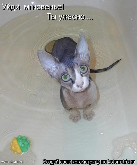 Уйди, мгновенье! Ты ужасно....... Котоматрица: Уйди, мгновенье! Ты ужасно....