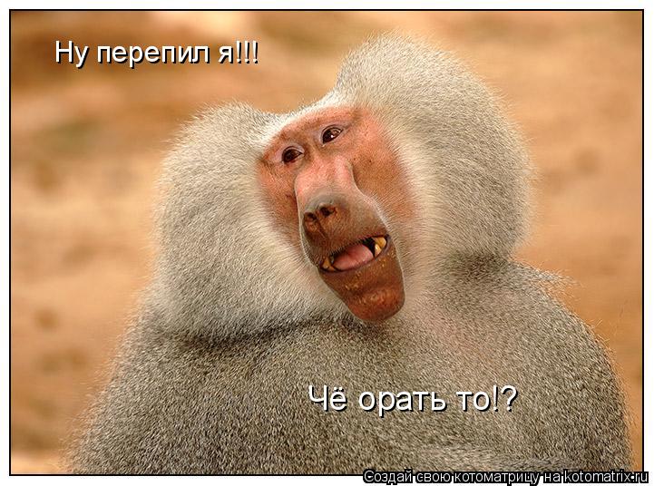 Ну перепил я!!! Чё орать то!?... Котоматрица: Ну перепил я!!! Чё орать то!?