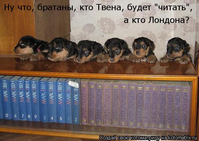 Ну что, братаны, кто Твена, будет "читать", а кто Лондона?... Котоматрица: Ну что, братаны, кто Твена, будет "читать", а кто Лондона?