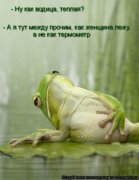 - Ну как водица, теплая? а не как термометр - А я тут между прочим, как женщина лежу,... Котоматрица: - Ну как водица, теплая? а не как термометр - А я тут между прочим, как женщина лежу,