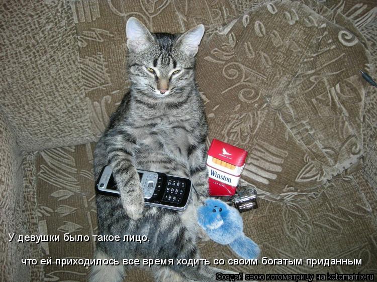 У девушки было такое лицо, что ей приходилось все время ходить со своим богатым приданным... Котоматрица: У девушки было такое лицо, что ей приходилось все время ходить со своим богатым приданным