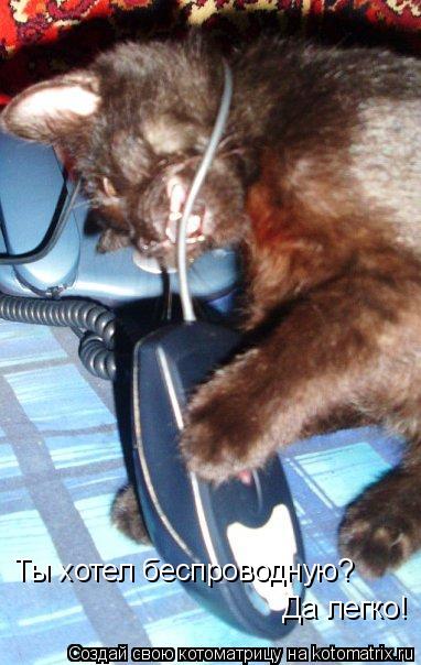 Ты хотел беспроводную? Да легко!... Котоматрица: Ты хотел беспроводную? Да легко!