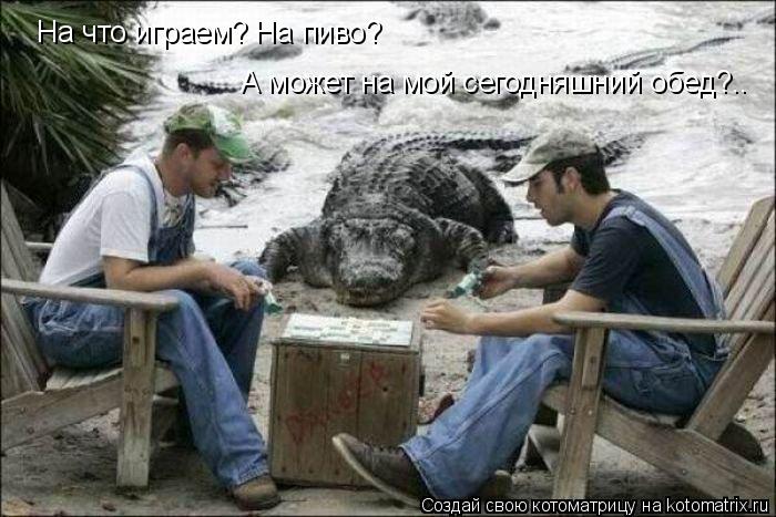На что играем? На пиво? А может на мой сегодняшний обед?..... Котоматрица: На что играем? На пиво? А может на мой сегодняшний обед?..