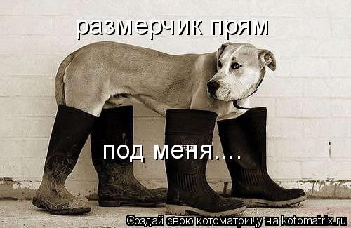 размерчик прям под меня....... Котоматрица: размерчик прям под меня....