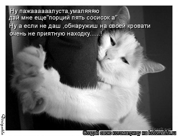 Ну пажаааааалуста,умаляяяю дай мне еще"порций пять сосисок а" Ну а если не даш ,обнаружиш на своей кр... Котоматрица: Ну пажаааааалуста,умаляяяю дай мне еще"порций пять сосисок а" Ну а если не даш ,обнаружиш на своей кровати очень не приятную находку......!