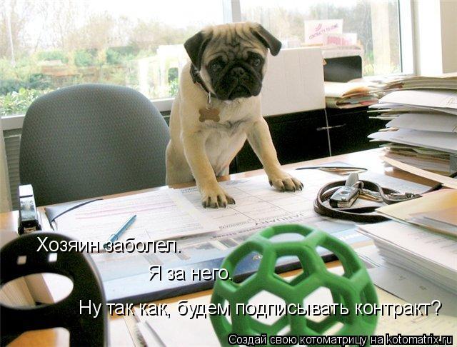 Хозяин заболел. Я за него. Ну так как, будем подписывать контракт?... Котоматрица: Хозяин заболел. Я за него. Ну так как, будем подписывать контракт?