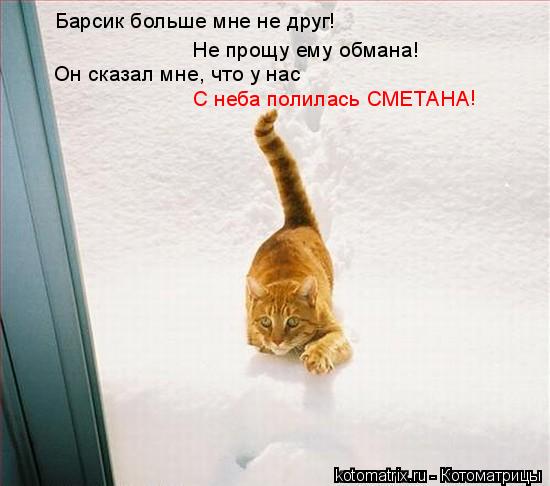 Барсик больше мне не друг! Не прощу ему обмана! Он сказал мне, что у нас С неба полилась СМЕТАНА !... Котоматрица: Барсик больше мне не друг! Не прощу ему обмана! Он сказал мне, что у нас С неба полилась СМЕТАНА !