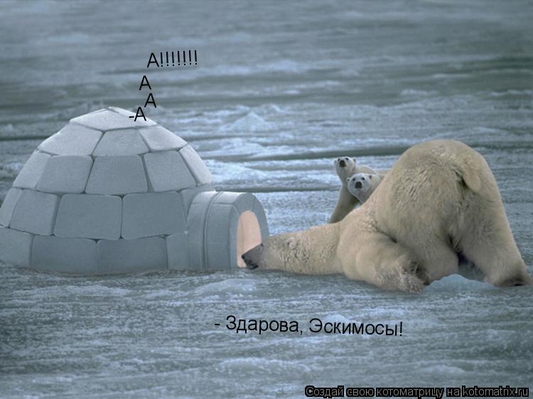 - Здарова, Эскимосы! А А А!!!!!!! -А... Котоматрица: - Здарова, Эскимосы! А А А!!!!!!! -А
