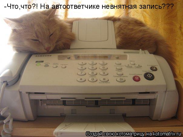 -Что,что?! На автоответчике невнятная запись???... Котоматрица: -Что,что?! На автоответчике невнятная запись???