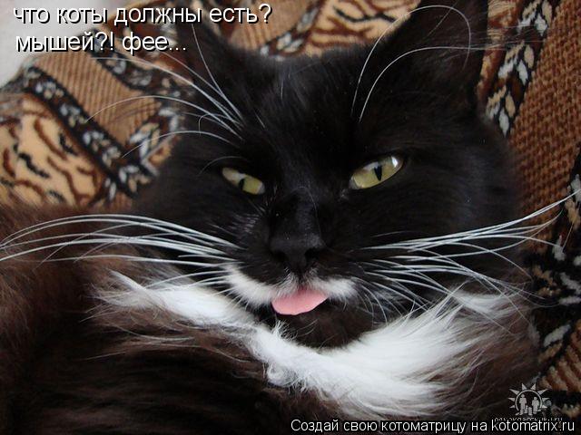 что коты должны есть? мышей?! фее...... Котоматрица: что коты должны есть? мышей?! фее...