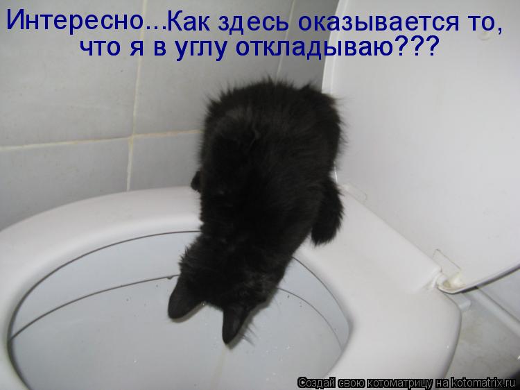 Интересно... Как здесь оказывается то, что я в углу откладываю??? что я в углу откладываю???... Котоматрица: Интересно... Как здесь оказывается то, что я в углу откладываю??? что я в углу откладываю???